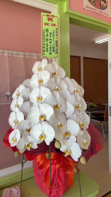 ブログ写真